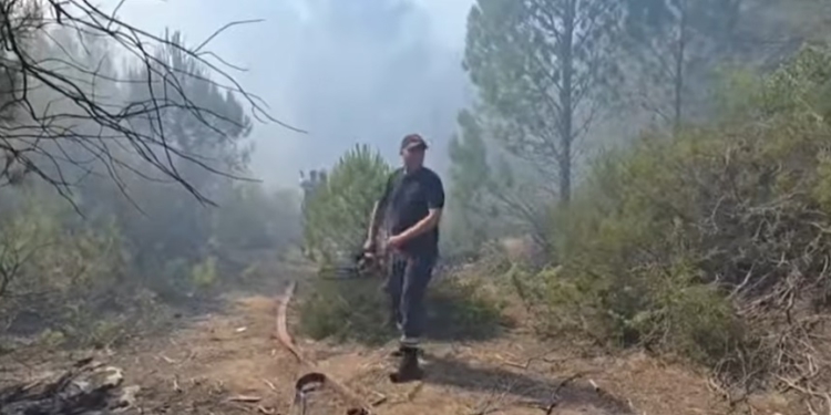 Zjarri në masivin pyjor të Darzezës, pas disa orësh përpjekje neutralizohen flakët