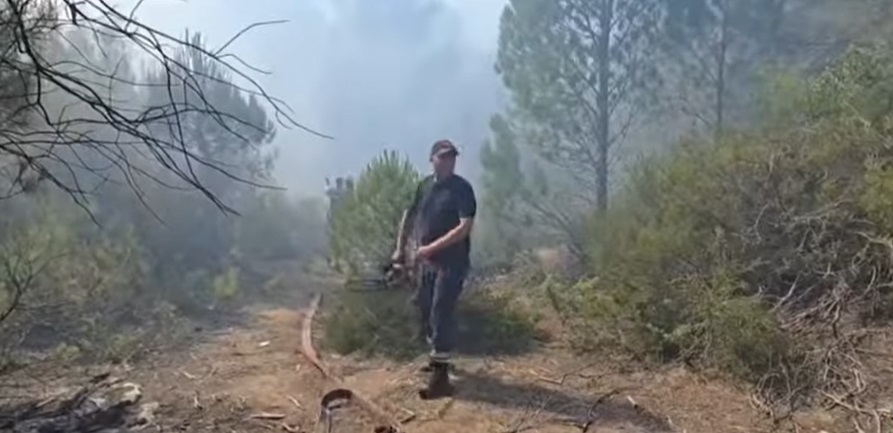 Zjarri në masivin pyjor të Darzezës, pas disa orësh përpjekje neutralizohen flakët