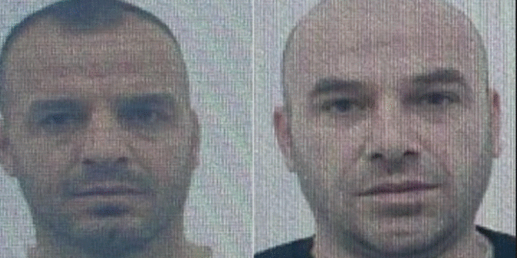 U arrestuan gjatë ‘Bllokut 33’, publikohet fotoja e dy vëllezërve Gurzi, dyshohet se drejtonin organizatën e shitjes së drogës në lokale nate