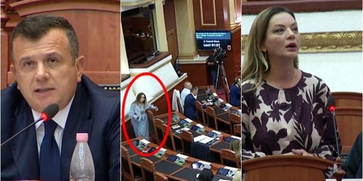Kuvend/ Balla-Tabakut: Mos ik zonja deputete, je goc qyteti, nuk flet dot për fshatin! Ministri i kujton demokratëve Bashën: Ju la Luli mangët