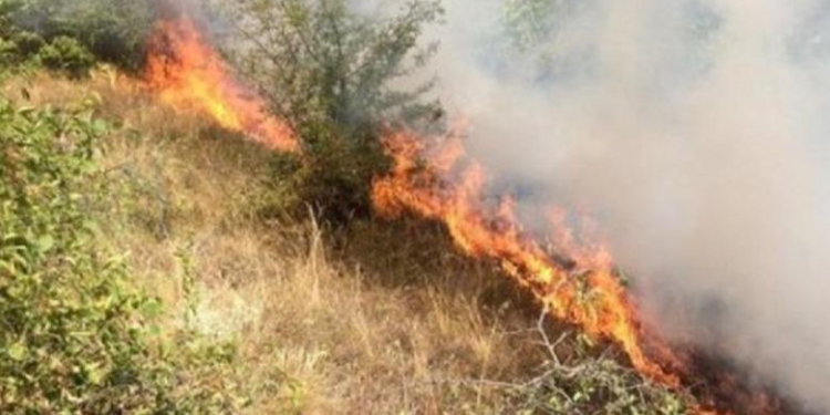 Zjarret në vend/ Emergjencat Civile: Deri në orën 16:00 janë raportuar 18 vatra zjarri, 8 prej tyre janë ende aktive