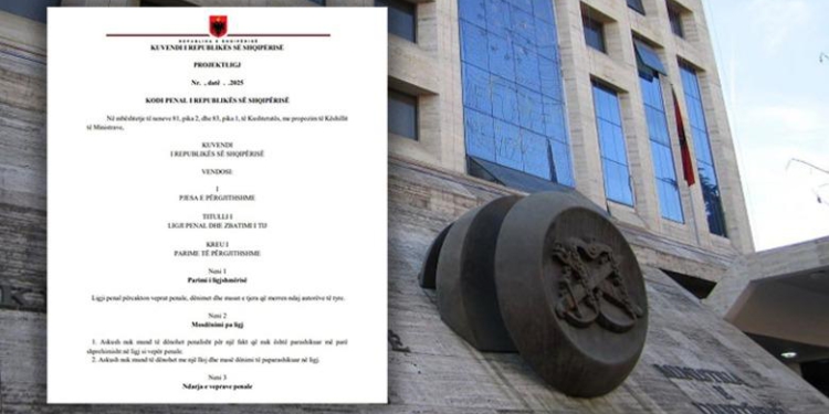 Drafti i ri i Kodit Penal / Avokati: 900 nene sikur i kanë përkthyer me Google Translate…