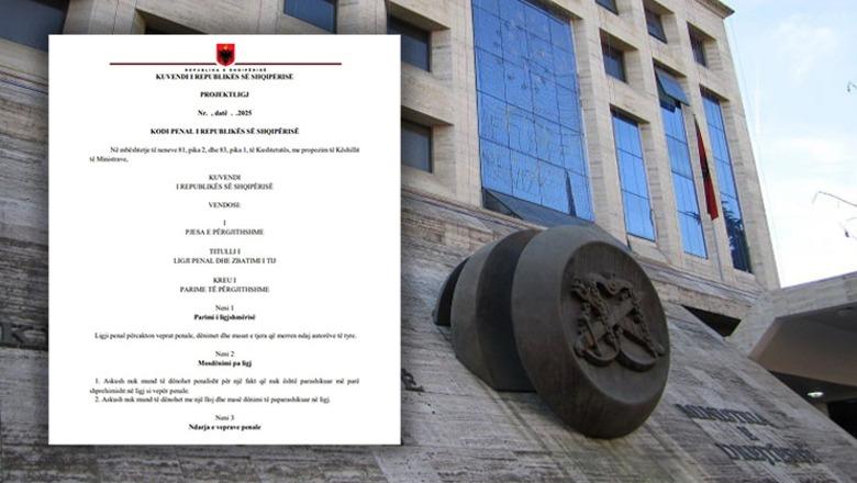 Drafti i ri i Kodit Penal / Avokati: 900 nene sikur i kanë përkthyer me Google Translate…