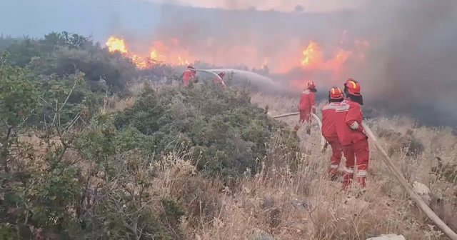 5 piromanë të dënuar në 4 vite, “zjarri” i Ramës ndaj zjarrvënësve u “fik” në sallat e gjyqit