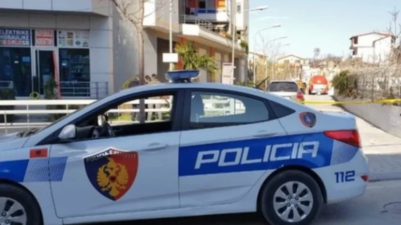 Hyri në e-Albania me të dhënat e të afërmes dhe mori mikrokredi, niset hetimi për 32-vjeçaren