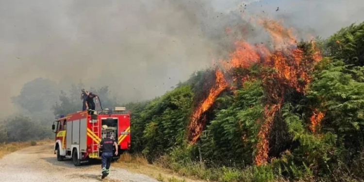 Situata e zjarreve në vend: 4 vatra aktive, ja zonat me rrezik të lartë