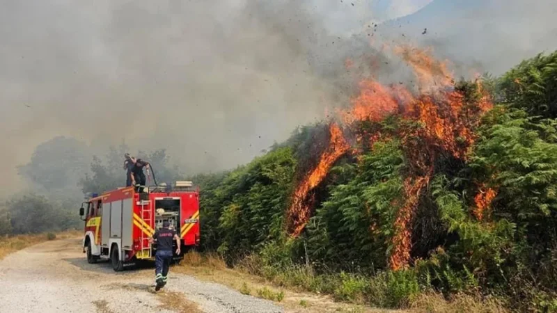 Situata e zjarreve në vend: 4 vatra aktive, ja zonat me rrezik të lartë