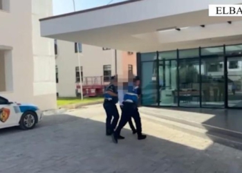 Theu masën e arrestit shtëpiak dhe vodhi një makinë, arrestohet 19-vjeçari në Elbasan