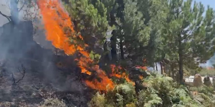Zjarr në pikën doganore të Goricës, pezullohet kalimi i mjeteve