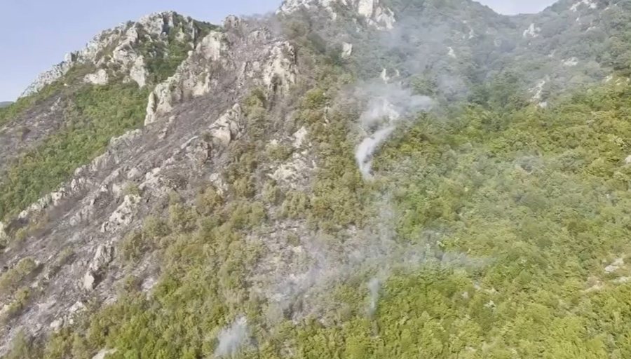 Zjarret, Prefektura e Korçës: Kemi 5 mushka të ngarkuara me ujë në terren, ku paraqitet rrezik më i madh