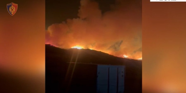 Ndezi zjarr për pastrimin e barërave, por i vuri flakën Shashicës, kush është 33-vjeçari i arrestuar