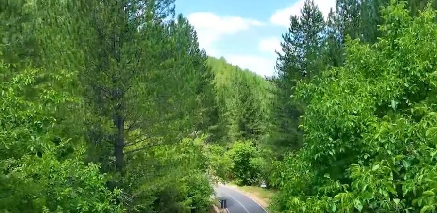 Rama ndan pamjet e rrugës Ersekë – Leskovik: Një udhëtim magjepsës që nxit turizmin dhe motivon të mos emigrojnë