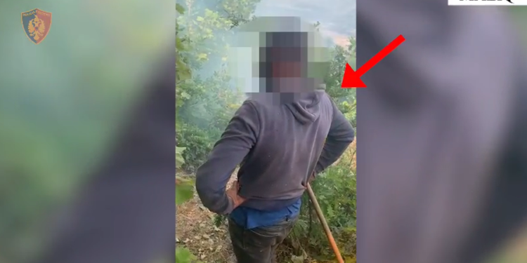Ndezi zjarr për të hapur kullotë, arrestohet 26-vjeçari në Maliq