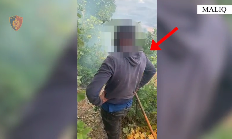 Ndezi zjarr për të hapur kullotë, arrestohet 26-vjeçari në Maliq