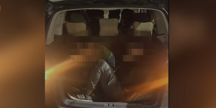 Transportonte kundrejt pagesës emigrantë nga Bangladeshi, arrestohet 40-vjeçari në Gjirokastër