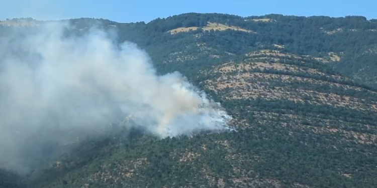 Zjarret në vend/ Në 24 orë janë raportuar 21 vatra, katër prej tyre janë ende aktive