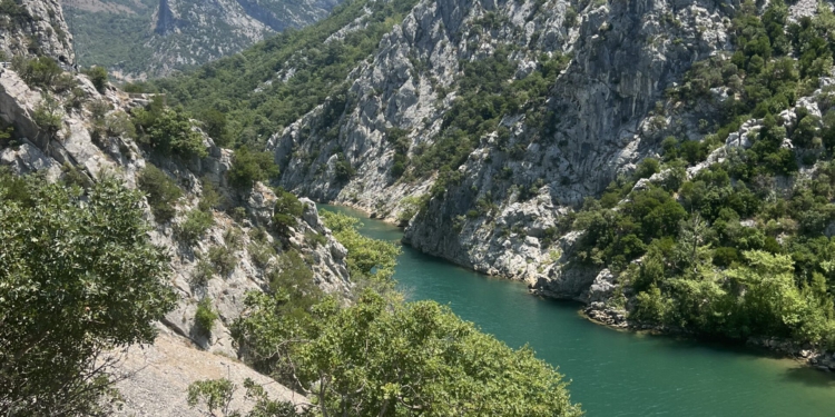 Detaje nga ngjarja në Ulëz/ 23-vjeçari u qëllua teksa ishte në lëvizje, makina përfundoi në Liqenin e Shkopetit