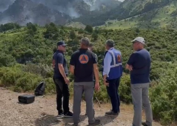 Vijon prej 4 ditësh zjarri në malin e Dukatit, kreu i Emergjencave: Hetoni çdo rast