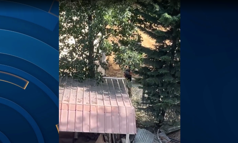 I kërkoi të lirojë hapësirat e zaptuara në parkun e Drilonit, “i forti” i Pogradecit dhunon kryeplakun