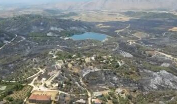 Toka, bimë dhe banesa të shkrumbuara nga flakët, pamje nga pasojat e zjarrit shkatërrues në Delvinë