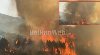 Pamje apokaliptike në Qafë Buall, zjarri përfshin masivin pyjor, tymi i dendur “pushton” zonën