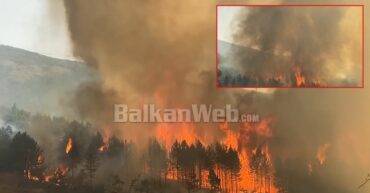 Pamje apokaliptike në Qafë Buall, zjarri përfshin masivin pyjor, tymi i dendur “pushton” zonën