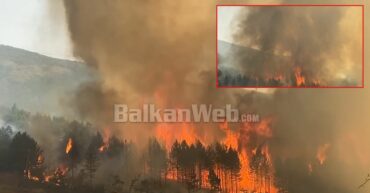 Pamje apokaliptike në Qafë Buall, zjarri përfshin masivin pyjor, tymi i dendur “pushton” zonën