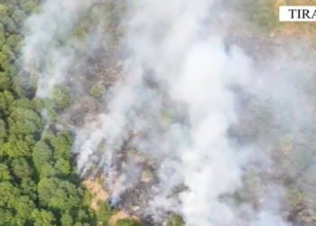 Ndezi zjarr në Parkun Kombëtar të Dajtit dhe dogji 600 hektarë bimësi, arrestohet 63-vjeçari