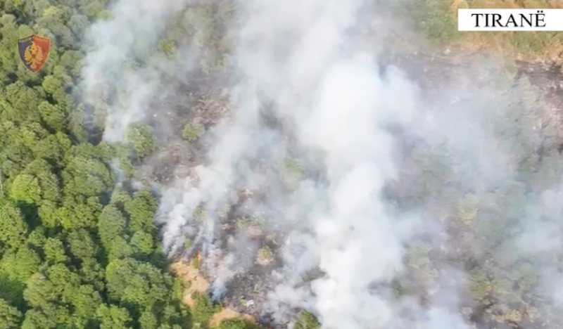 Ndezi zjarr në Parkun Kombëtar të Dajtit dhe dogji 600 hektarë bimësi, arrestohet 63-vjeçari