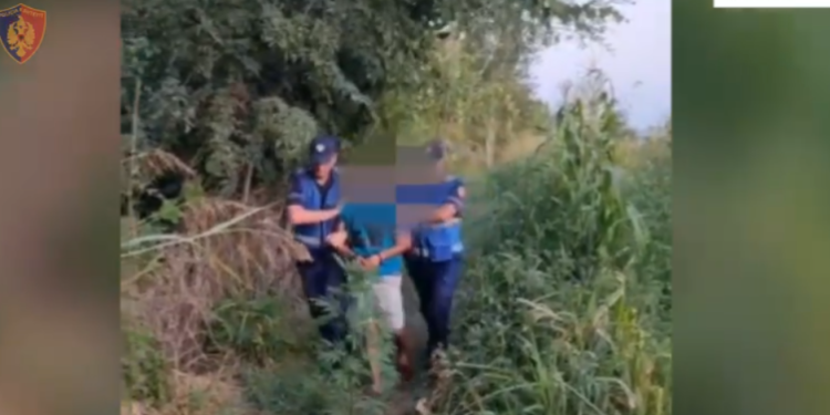 Vijon operacioni “Koordinata”, kapet në flagrancë 34-vjeçari që kultivonte kanabis në Fushë-Milot