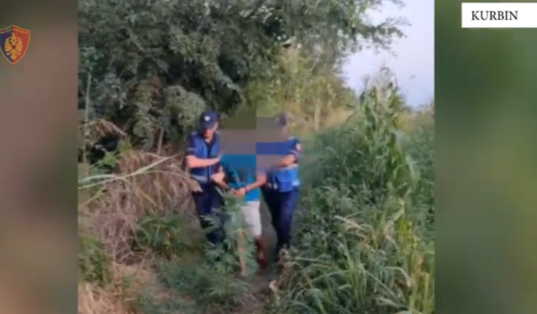 Vijon operacioni “Koordinata”, kapet në flagrancë 34-vjeçari që kultivonte kanabis në Fushë-Milot