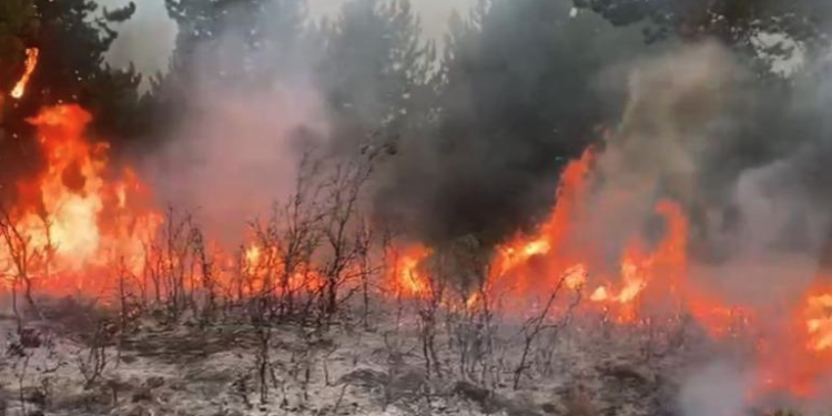 Zjarret përfshijnë disa zona në vend, ndërhyrje nga ajri dhe toka. Ngrihen dronët Bayraktar!