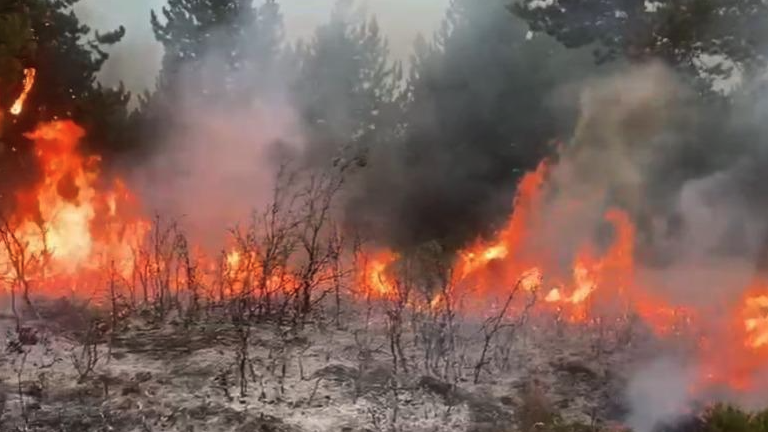 Zjarret përfshijnë disa zona në vend, ndërhyrje nga ajri dhe toka. Ngrihen dronët Bayraktar!