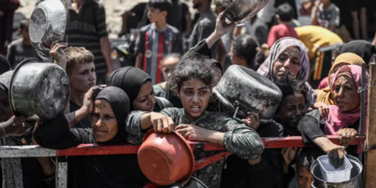 OKB paralajmëron: Kriza e urisë në Gaza mund të ketë rezultate katastrofike të lindjeve