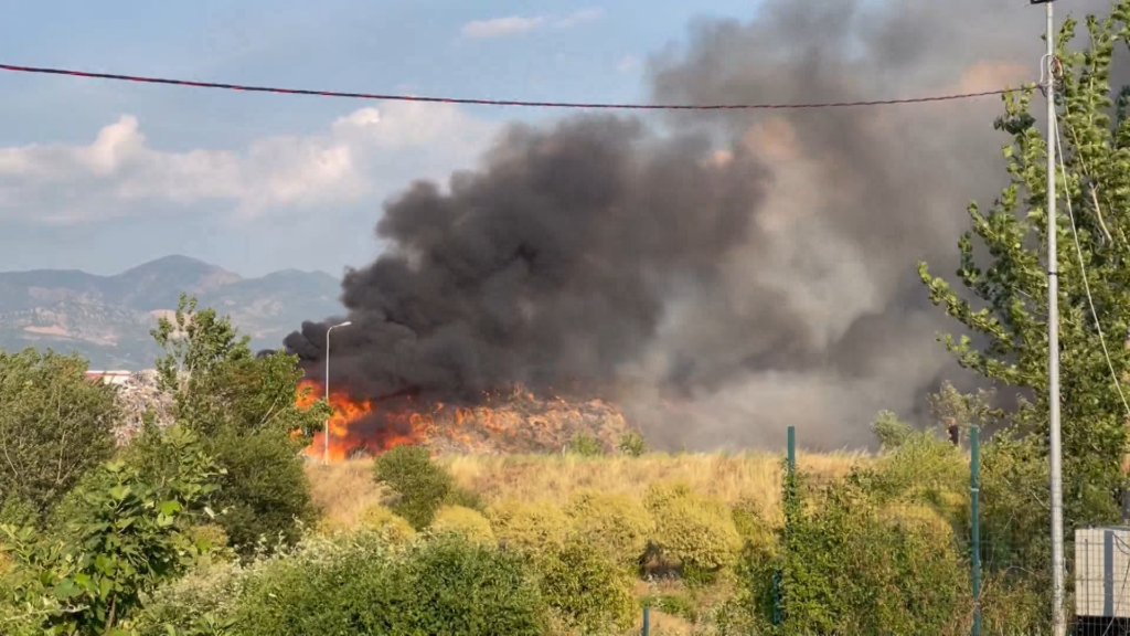 24 vatra zjarri të raportuara në 24 orë, 6 zona ende aktive. Mes tyre edhe landfilli i Elbasanit