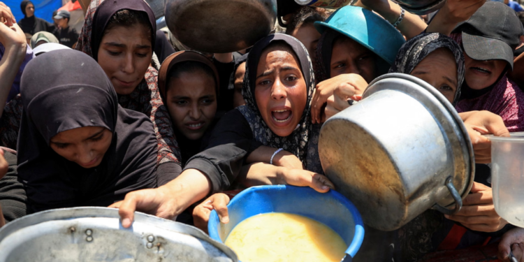 Gaza në agoni: Edhe ata që ndihmojnë, vuajnë për një copë bukë!