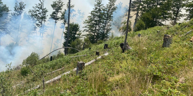 Zjarri në Parkun Kombëtar të Lurës, Forcat e Armatosura i bashkohen grupeve për shuarjen e flakëve