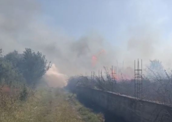 Zjarr i madh në Lushnjë, digjen disa toka dhe një parcelë me ullinj! Flakët favorizohen nga era e fortë