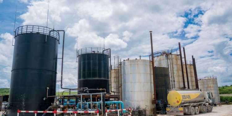 I shkaktuan miliona euro dëm shtetit, Gjykata e Fierit lë në burg CEO-n dhe ish-administratorin e “Bankers Petroleum”