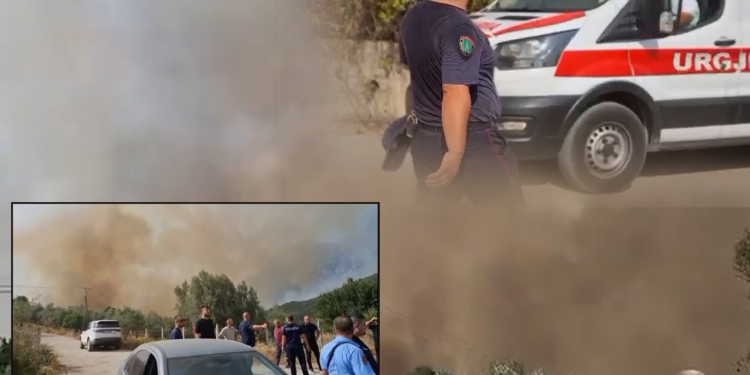 Del jashtë kontrollit zjarri në Senicë. Pëson djegie në trup shefi i komisariatit të Delvinës, asfiksohet një tjetër efektiv