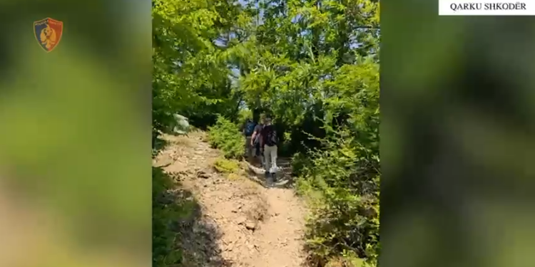 Asgjësohen mbi 3 mijë bimë narkotike, procedohen dy kryepleq në Shkodër dhe roja