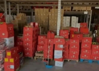Falsifikonin datën e skadencës së produkteve dhe i hidhnin në treg, lihen në arrest shtëpie 2 vëllezërit në Vorë