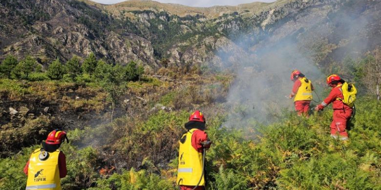 7 vatra zjarri aktive në vend, angazhohen 440 forca dhe 22 helikopterë