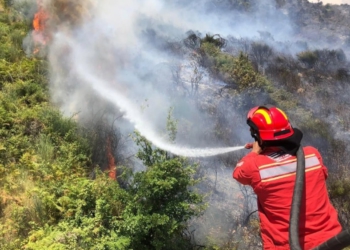 18 vatra zjarri në vend gjatë 24 orëve! Zjarri vijon të jetë aktiv në Parkun Kombëtar të Lurës