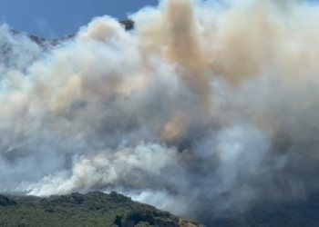 Përfshihet nga zjarri një sipërfaqe e mëdhe me bimësi në fshatin Sevaster në Vlorë, era favorizon flakët