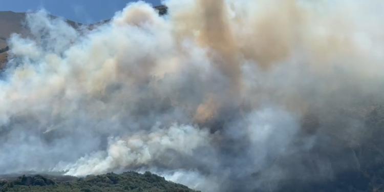 Përfshihet nga zjarri një sipërfaqe e mëdhe me bimësi në fshatin Sevaster në Vlorë, era favorizon flakët