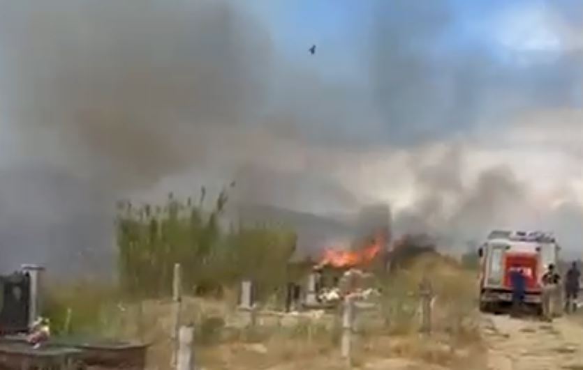 Ndezi zjarr në varreza, qytetari në Vaun e Dejës përfundon në pranga