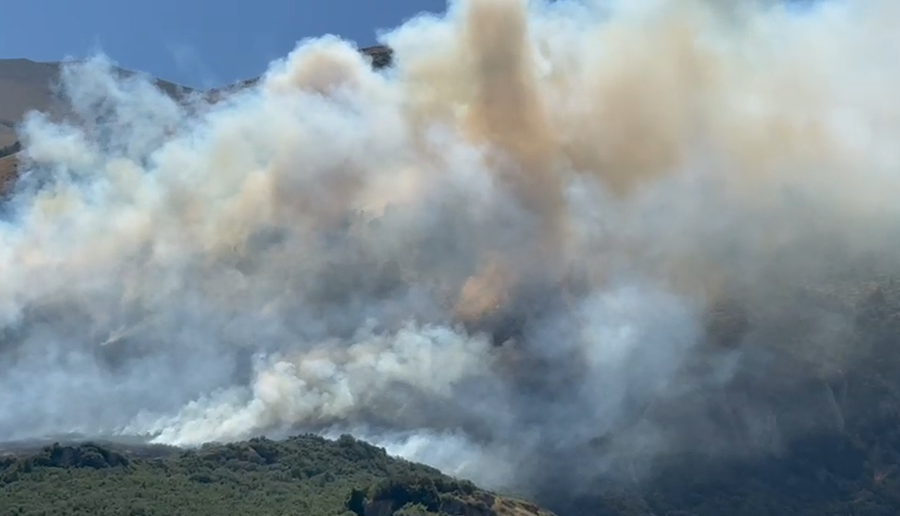 Përfshihet nga zjarri një sipërfaqe e mëdhe me bimësi në fshatin Sevaster në Vlorë, era favorizon flakët