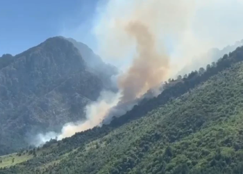 Zjarri në Dukat rrezikon Parkun Kombëtar të Llogarasë, kërkohet ndërhyrje nga ajri