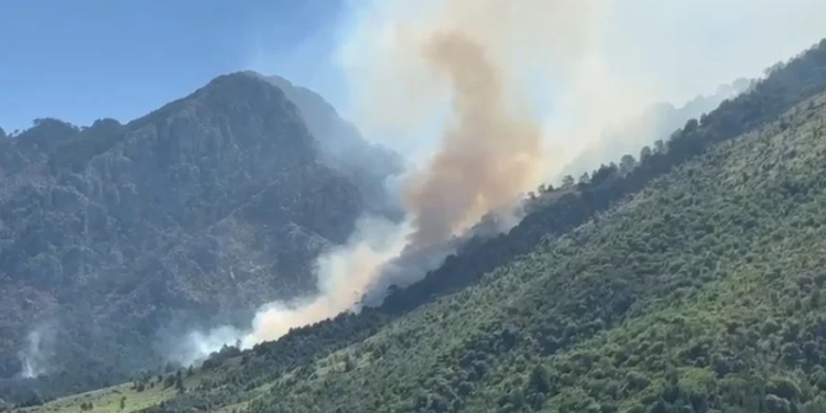 Zjarri në Dukat rrezikon Parkun Kombëtar të Llogarasë, kërkohet ndërhyrje nga ajri